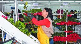 Estados Unidos libera de arancel recíproco a 72% de las exportaciones colombianas