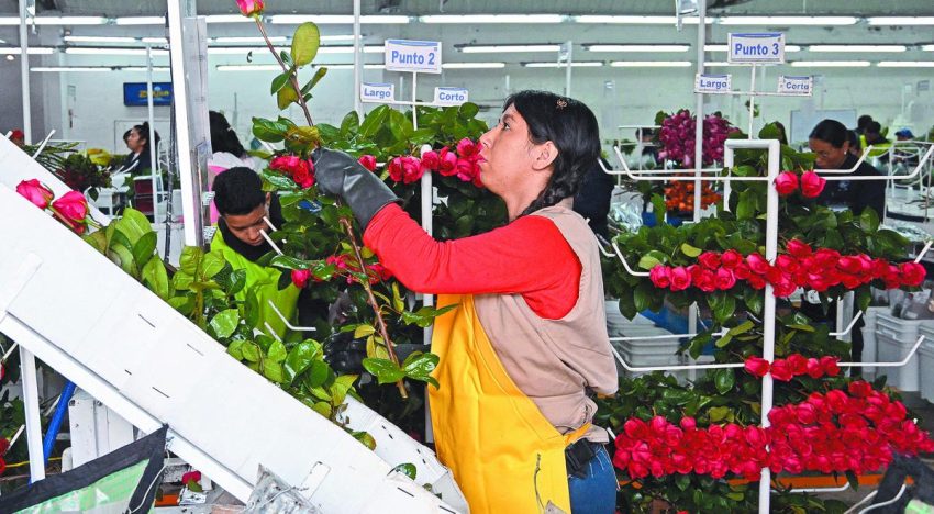 Estados Unidos libera de arancel recíproco a 72% de las exportaciones colombianas