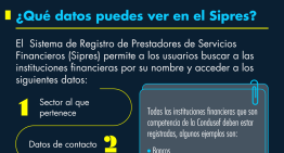 ¿Qué datos puedes ver en el Sipres?