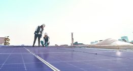 En evaluación ambiental, dos proyectos de energía solar para Quintana Roo