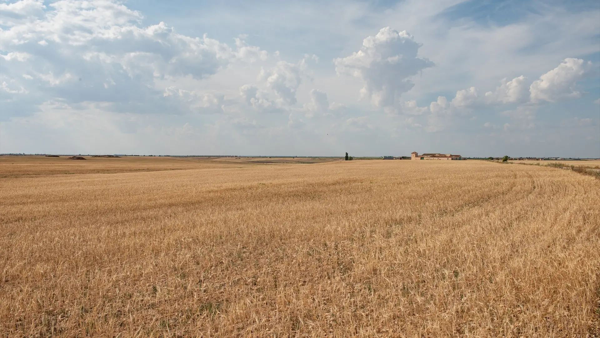 El Parlamento Europeo y los 27 acuerdan una PAC más 'simple': una inspección por año y más ayudas a pequeños agricultores