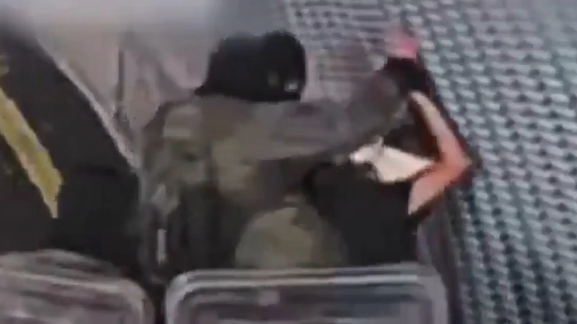 Este es el vídeo de la supuesta violación a un preso palestino filtrado por la ex abogada general militar de Israel