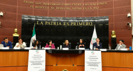 Nuevo modelo energético devolvió la productividad a Pemex y CFE, afirma Luz Elena González