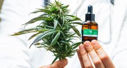 Los efectos del cannabis medicinal en los pacientes con diabetes: ¿qué se sabe y qué no?