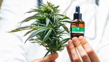 Los efectos del cannabis medicinal en los pacientes con diabetes: ¿qué se sabe y qué no?