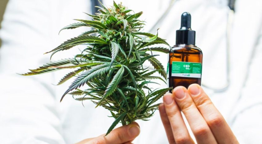 Los efectos del cannabis medicinal en los pacientes con diabetes: ¿qué se sabe y qué no?