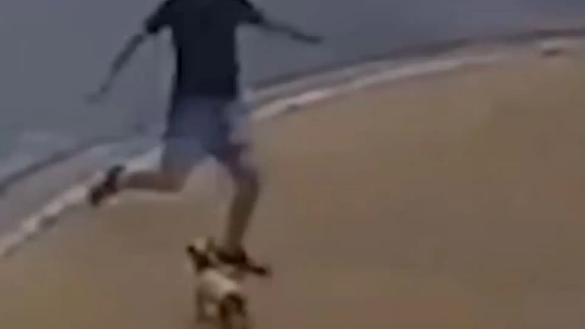 Un hombre es detenido por darle una patada violenta a un perro en Buenos Aires