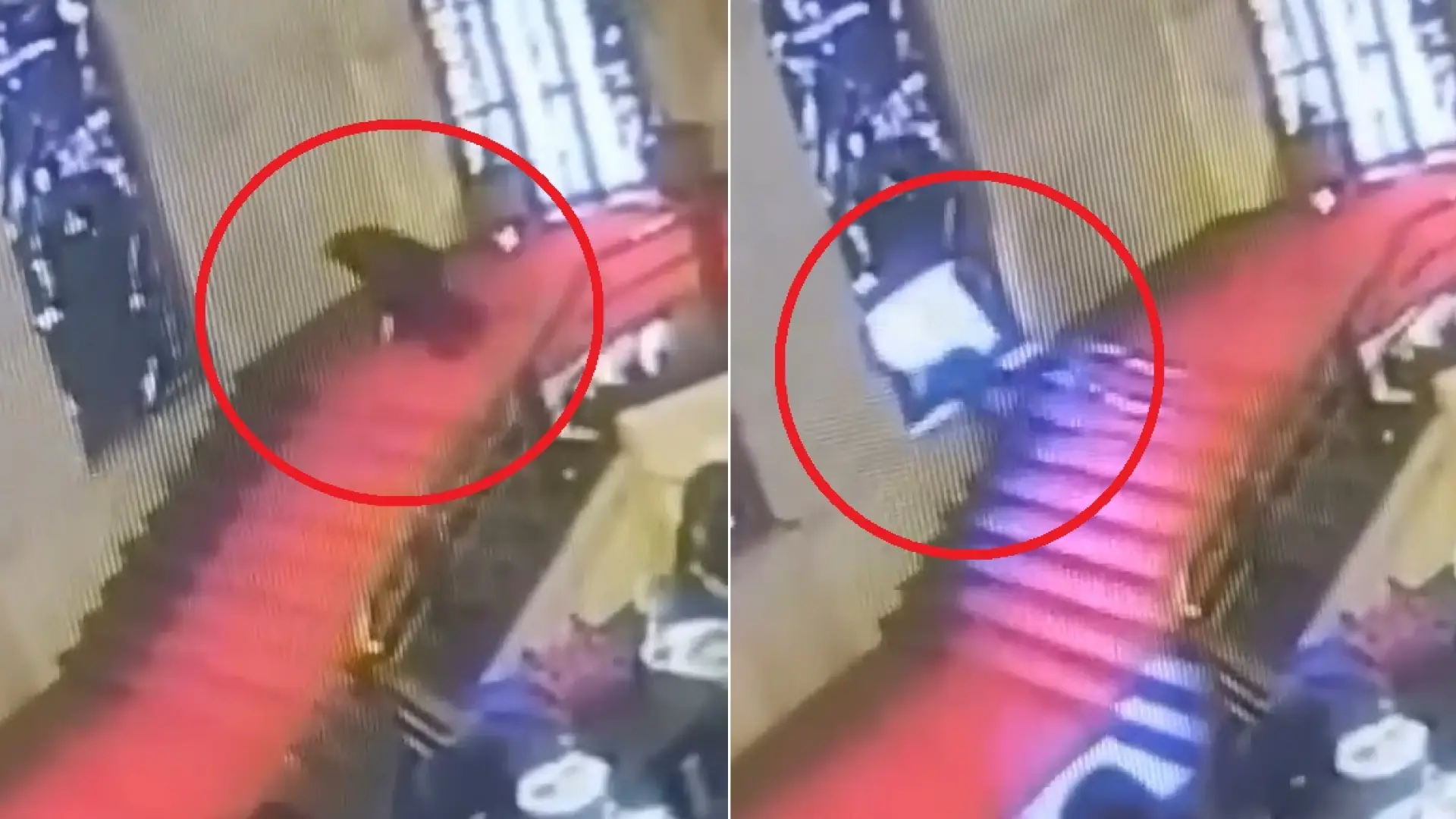 Un político italiano tropieza en una escalera y atraviesa una vidriera en un palacio en Roma