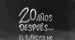 20 años