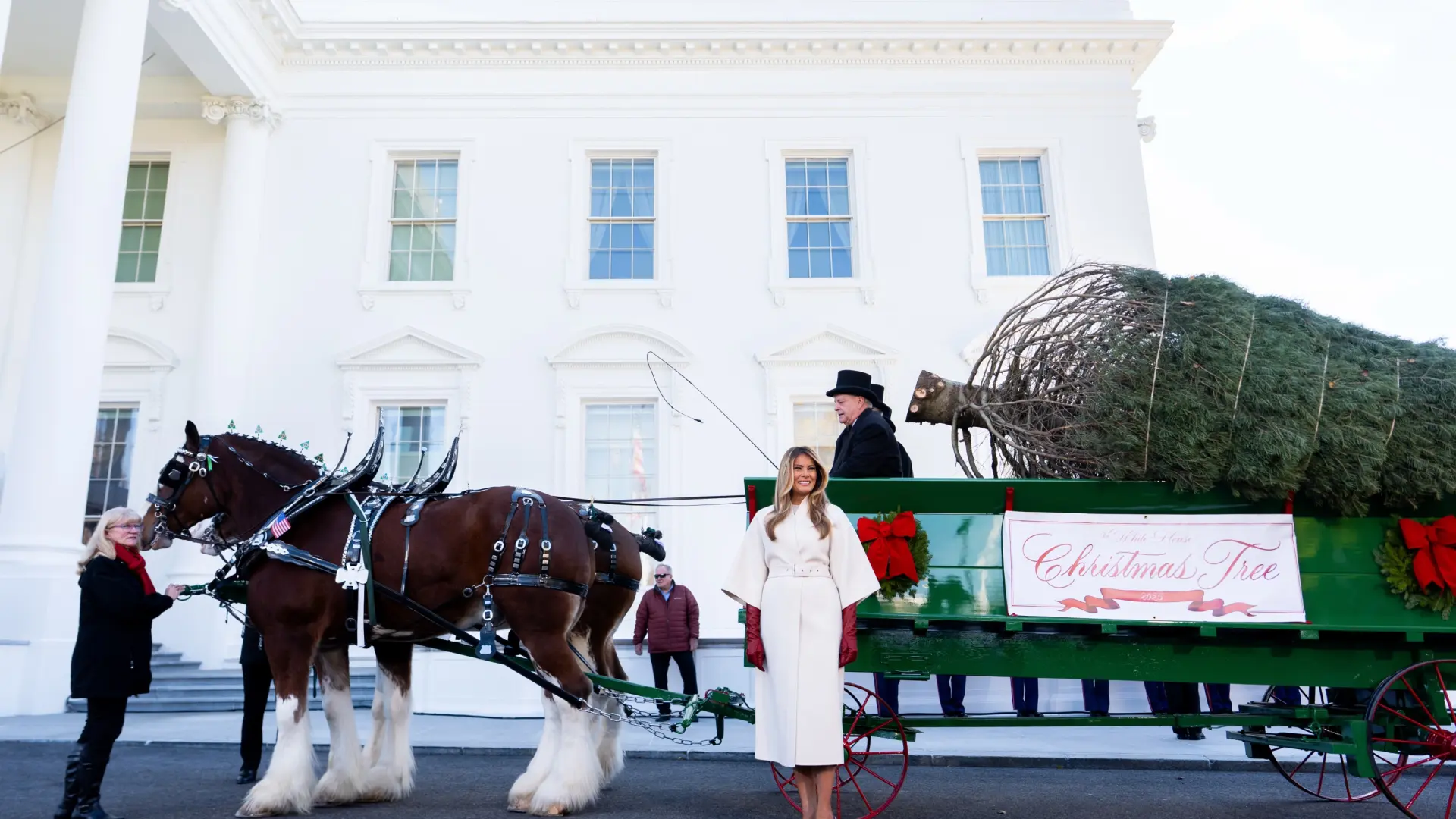 Recibido por Melania Trump y tirado por caballos… así ha llegado el abeto que presidirá la Navidad en la Casa Blanca