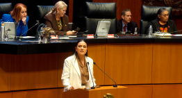 La secretaria de Bienestar, Ariadna Montiel Reyes, comparece ante el pleno del Senado