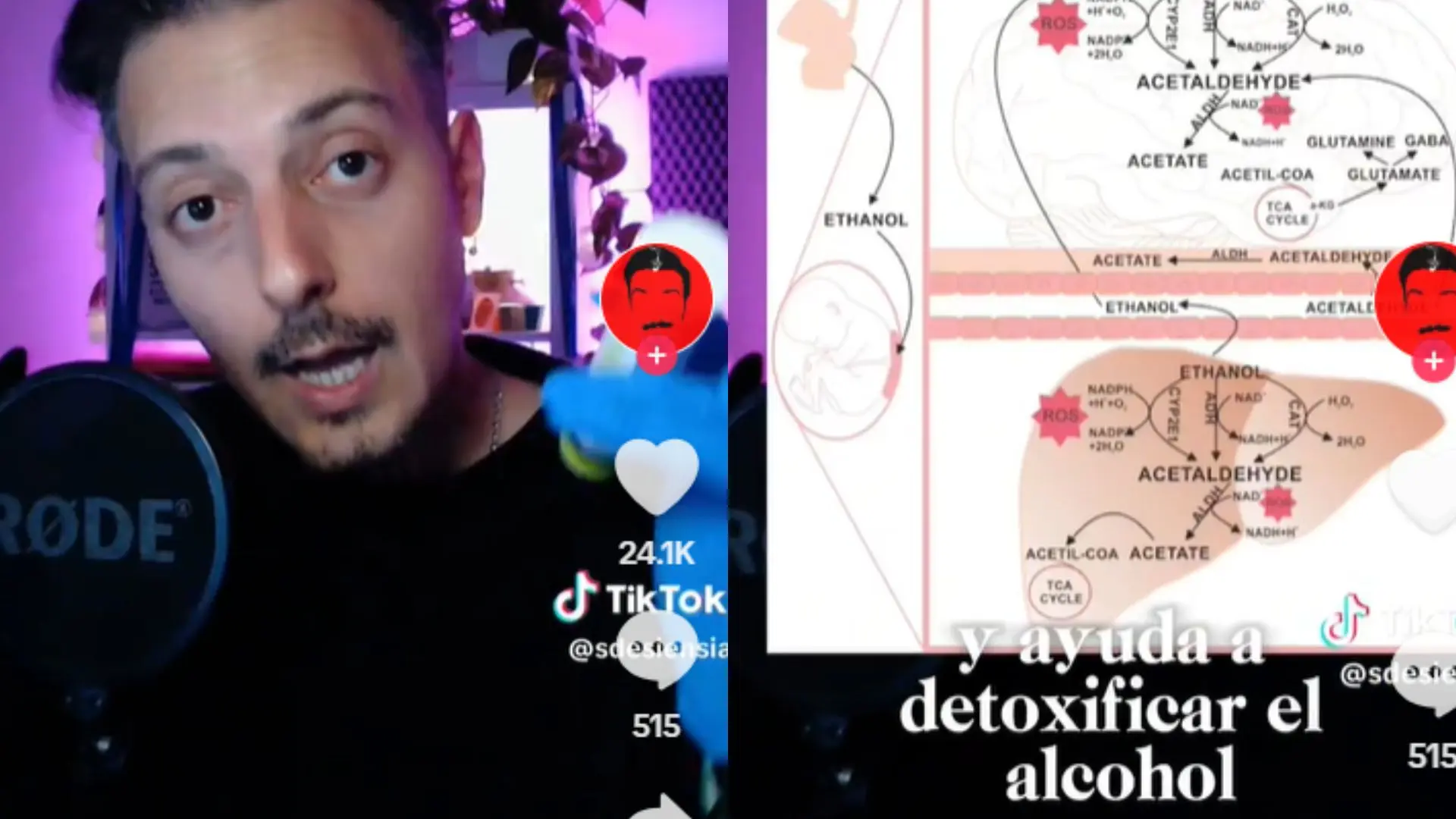 Un bioquímico explica cómo mitigar la resaca del alcohol: «Mira a ver si tienes esto en casa»