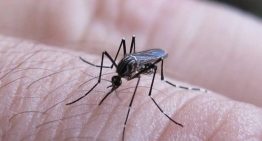 Huniades Urbina pidió estar atentos a los síntomas del dengue en Venezuela