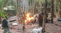 Fanb dice haber desmantelado campamento clandestino de minería ilegal en Amazonas