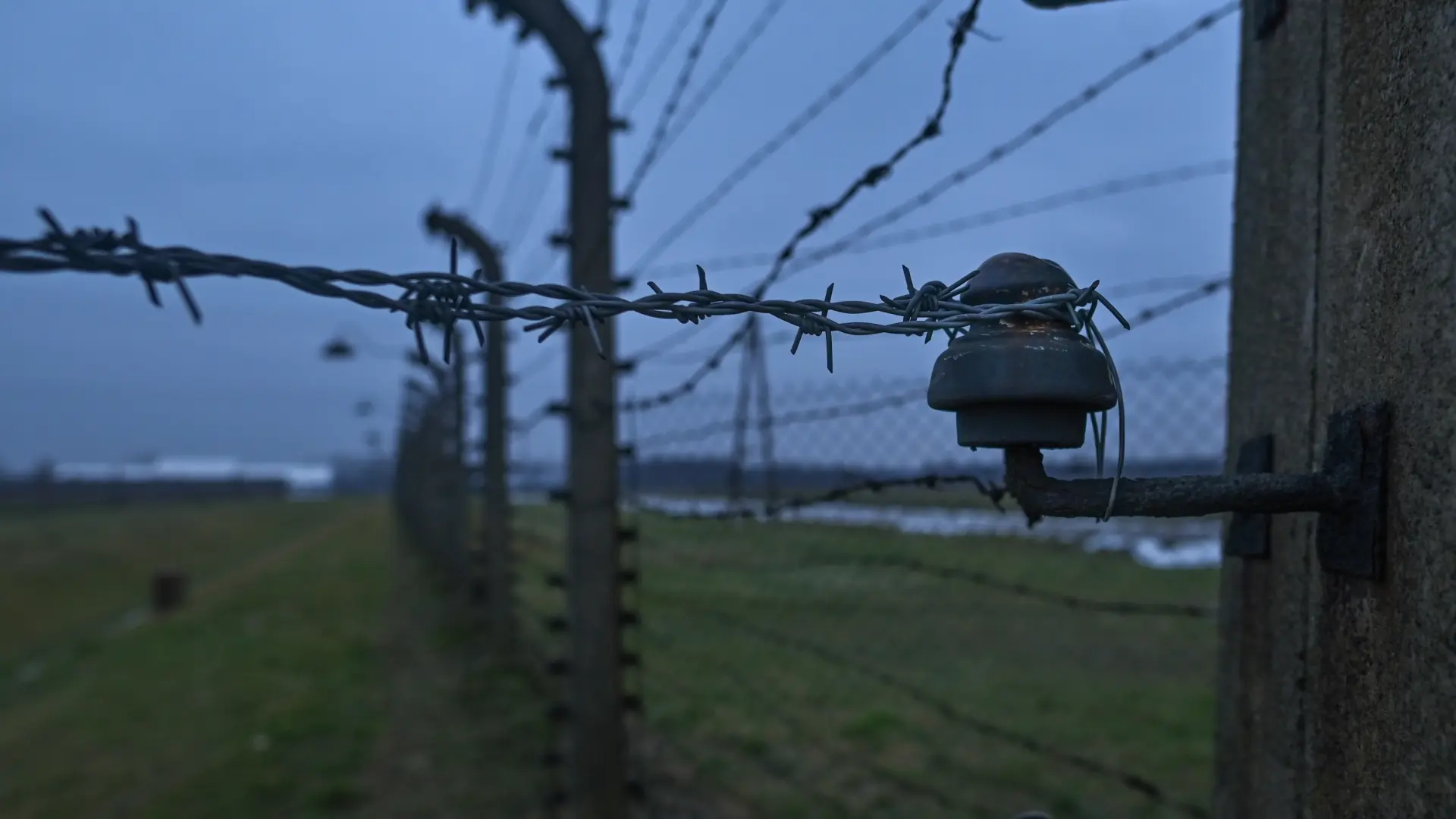 Cancelan una subasta de objetos de la Alemania nazi y documentos del Holocausto tras una ola de críticas