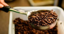EEUU prepara una medida sustancial sobre el precio del café y otras importaciones agrícolas