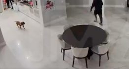 Hombres armados saquearon la residencia de Tekashi 6ix9ine en Florida