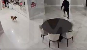 Hombres armados saquearon la residencia de Tekashi 6ix9ine en Florida