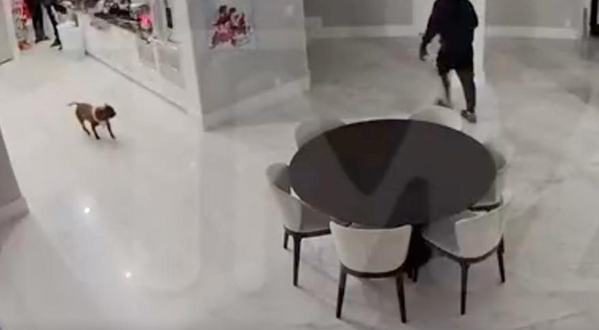 Hombres armados saquearon la residencia de Tekashi 6ix9ine en Florida