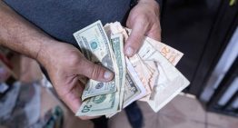 Cada vez más devaluado: El bolívar perdió casi el 80 % de su valor con respecto al dólar en lo que va de año
