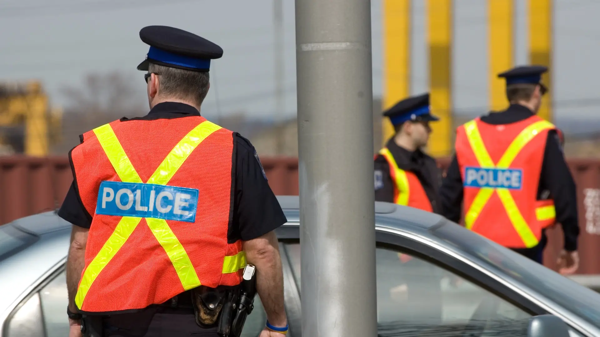 Once personas, entre ellas varios niños, heridas por el ataque de un oso en Canadá