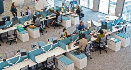 Empleo asalariado repunta a 66.5% en noviembre