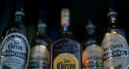 Fábrica de José Cuervo en municipio de Tequila quedó libre de clausura; gobierno estatal intervino