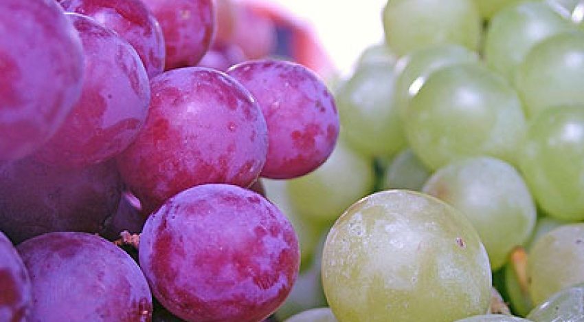 Por qué comemos uvas para recibir el Año Nuevo