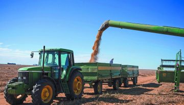 Soya registra caída semanal de 2.58 por ciento