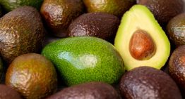 Aguacate y berries estrenan certificación laboral como eje de la agroexportación mexicana