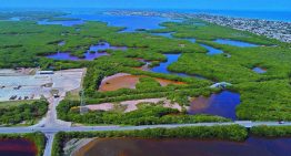 En rezago, más de 40,000 trámites para títulos de agua
