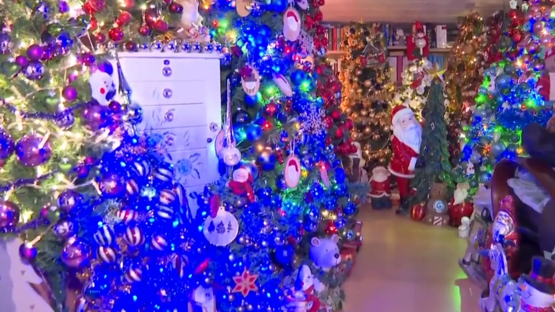 Así es una de las casas más navideñas del mundo: está en Alemania y cuenta con más de 600 árboles de navidad