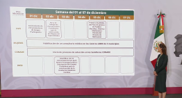 Gobierno detalla los avances de las acciones del Plan Michoacán: ¿Cómo va?