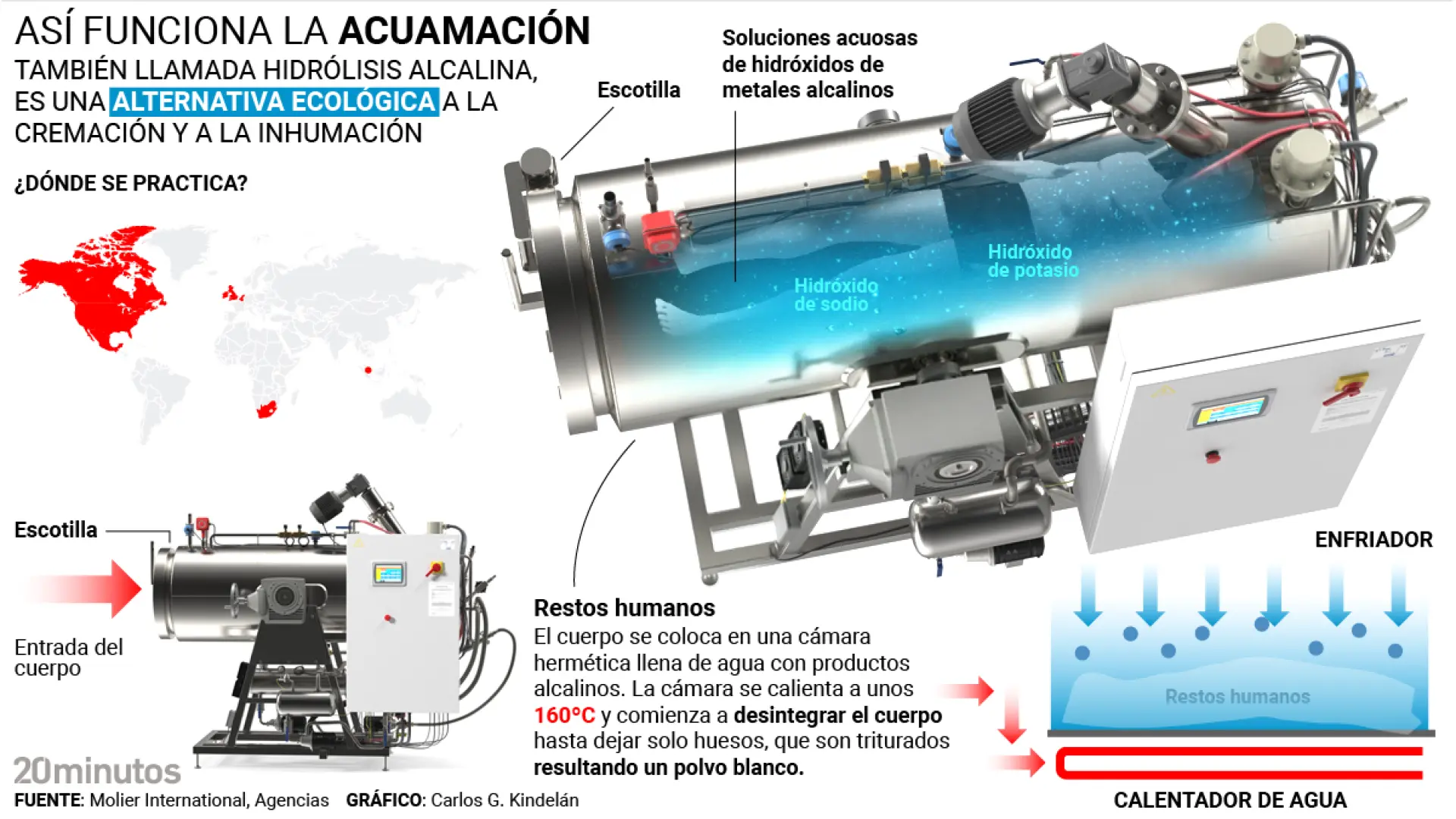 Ni enterrado ni cremado: llega la acuamación como nuevo método funerario que usa el agua y respeta más el medio ambiente