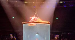 LUDŌ: la nueva experiencia inmersiva de Cirque du Soleil en Vidanta Nuevo Vallarta