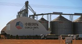 China COFCO embarca el primer cargamento de trigo argentino a granel con destino a China