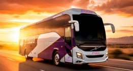 Confirman 5 muertos y 27 heridos en accidente de autobús en la carretera México-Tampico