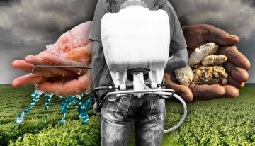 Agricultura mexicana: el desafío de disminuir el impacto ambiental y la vulnerabilidad ante el cambio climático