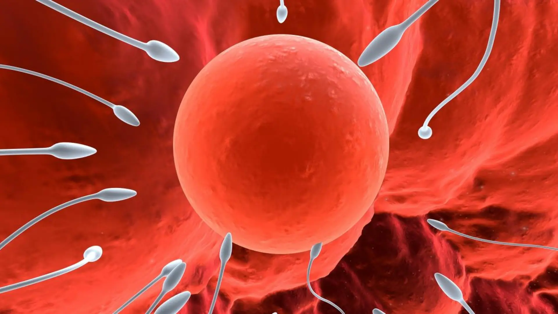 Escándalo seminal en Europa: así fue posible que el esperma de un danés con genes «cancerígenos» llegara a 10 bebés españoles