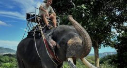 La aventura de Peralta Bauer, el ex San Lorenzo que la rompe en Indonesia: «La paso mal con el picante en las comidas, pero esta liga es mejor que la uruguaya»