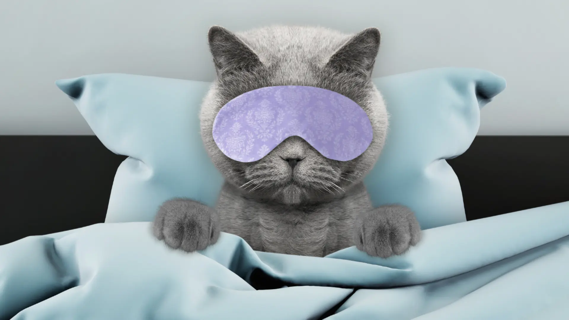 Mitos y consejos para combatir la resaca