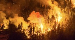 Principal incendio forestal en Patagonia argentina fuera de control afecta 5.500 hectáreas