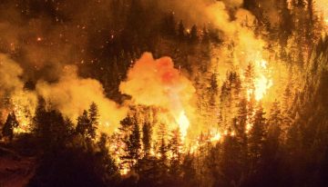Principal incendio forestal en Patagonia argentina fuera de control afecta 5.500 hectáreas