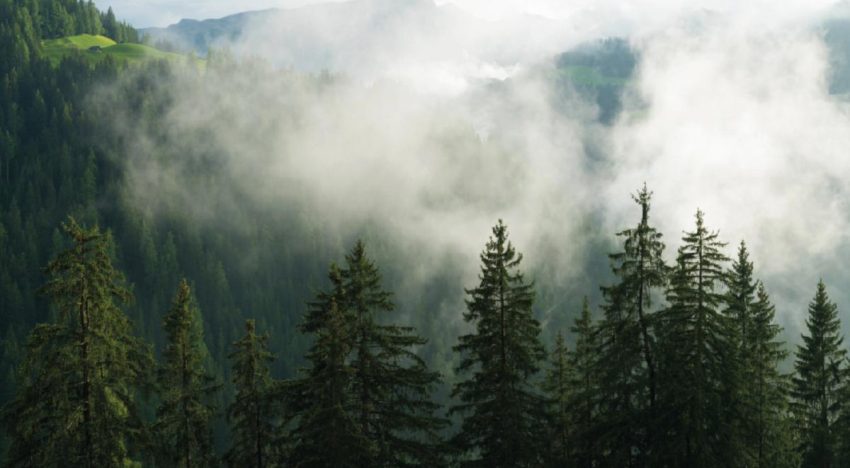 ¿Cuántos frentes fríos quedan de la temporada 2025-2026?