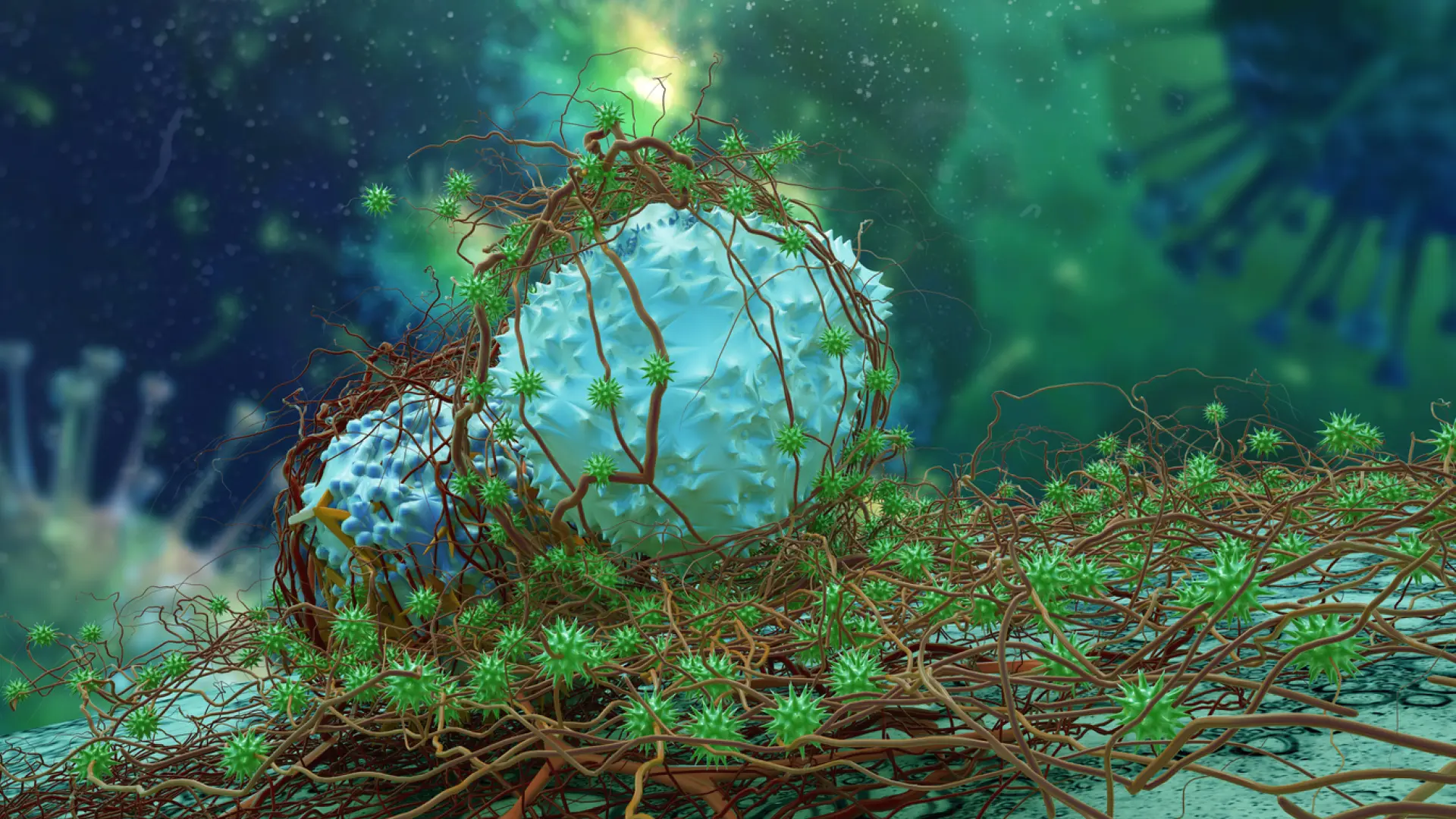 Matar de hambre al cáncer con grasa: una nueva terapia celular basada en los adipocitos