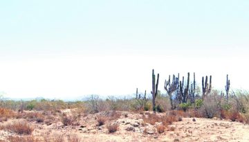 Bajan lluvias en México y alertan bancarrota hídrica