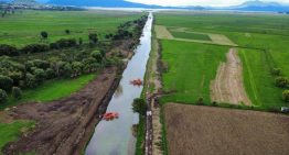 Recuperadas 500 hectáreas del lago de Pátzcuaro en Michoacán