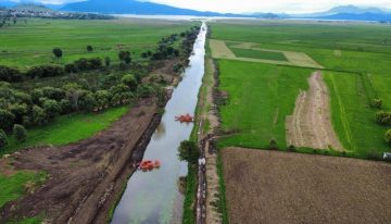 Recuperadas 500 hectáreas del lago de Pátzcuaro en Michoacán