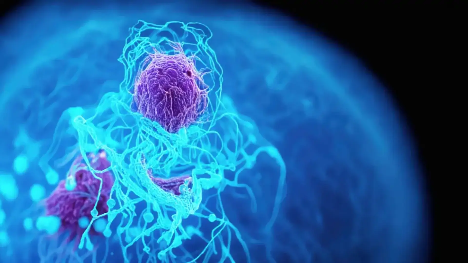 Estos son los cánceres que aumentarán y los que descenderán este 2026, según la Sociedad Española de Oncología Médica