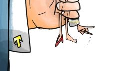 Trump para principiantes